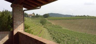 Enoturismo Bellaria: dove il vino incontra l’ospitalità di charme 🍷🌿