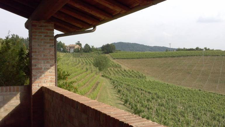 Enoturismo Bellaria: dove il vino incontra l’ospitalità di charme 🍷🌿