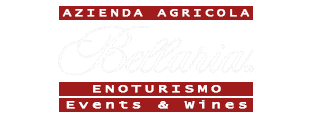 logo-bellaria-white